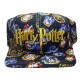 Harry Potter Shields Cap