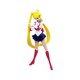 Sailor Moon Set 5 Units