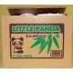 Panda Bear Money Box