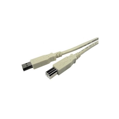 10' USB 2.0 A to B Cable
