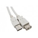 6' USB 2.0 A to A Ext Cable
